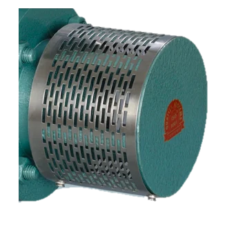 The perforated stainless steel strainer over the pump’s suction