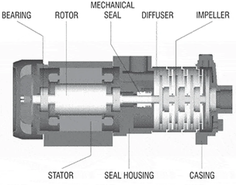 PH multistage cross-section: bearing, rotor and stator in the motor, the mechanical seal in its seal housing, then the diffusers and impellers in the casing